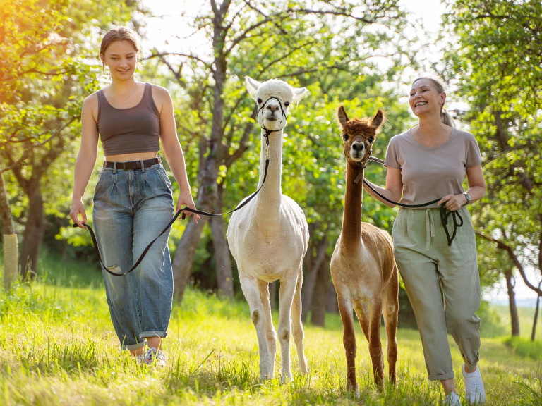 media.Gallery-Esperienze_9ResortLimaxAcis