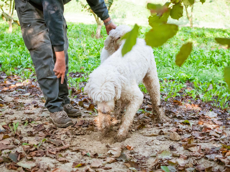 media.Gallery-Esperienze_10ResortLimaxAcis