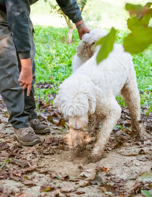 media.Gallery-Esperienze_10ResortLimaxAcis