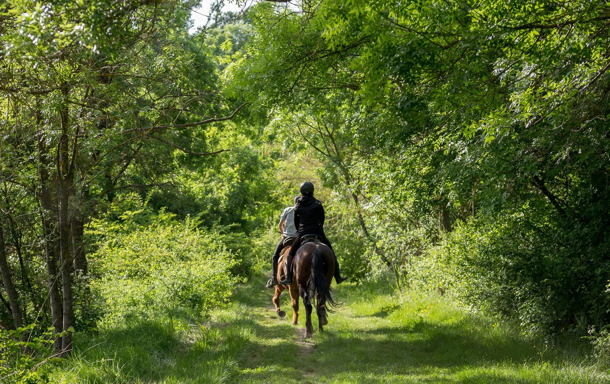 media.Slide-Esperienze_1ResortLimaxAcis